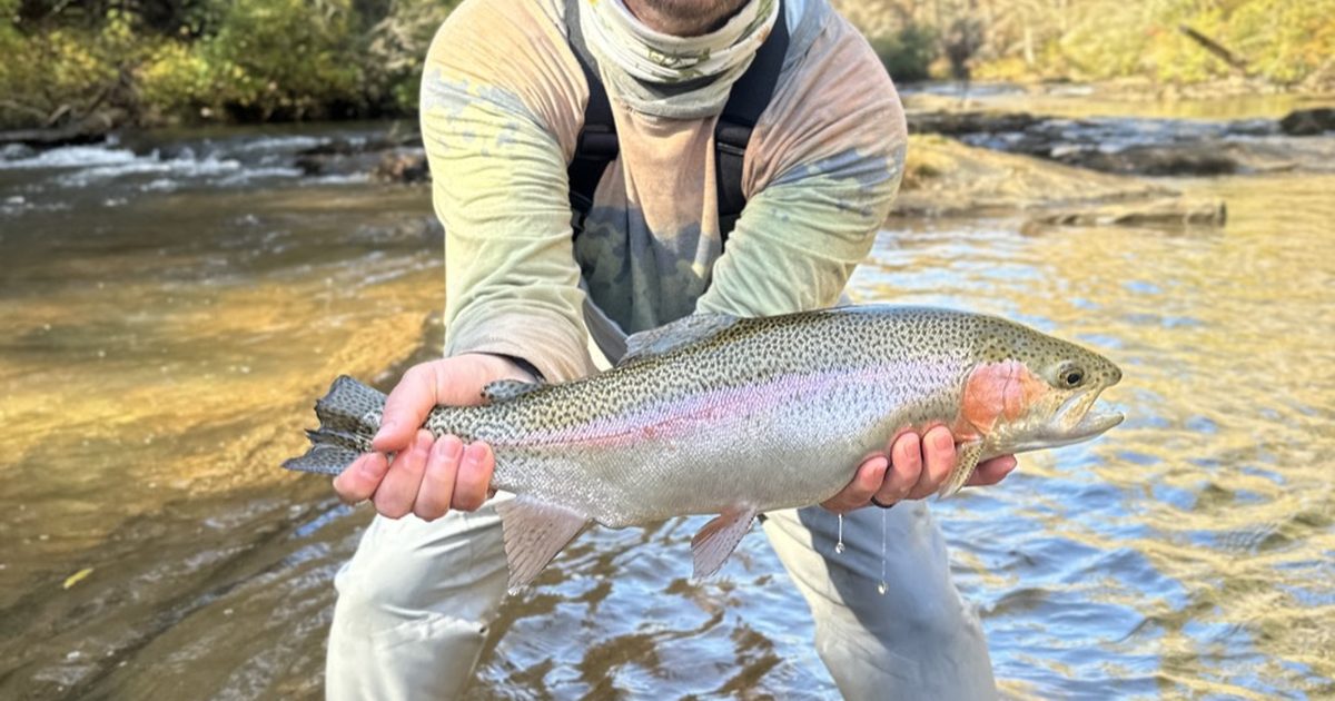 How Much Does a Guided Fly Fishing Trip Cost in 2026?
