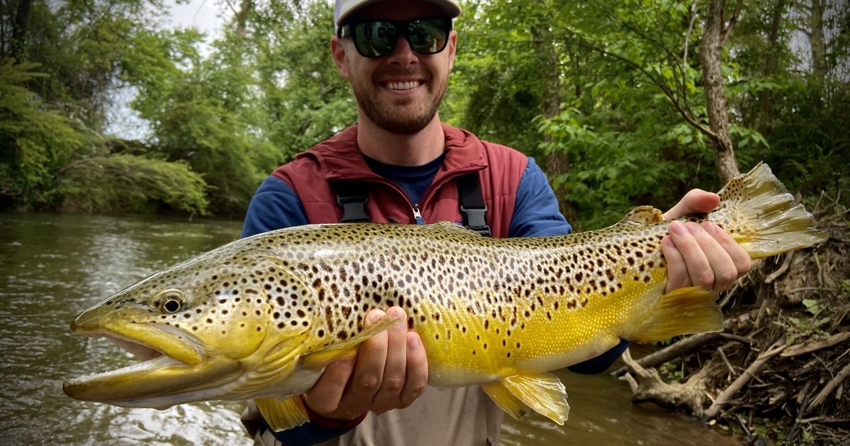 What to Bring on a Half-Day Guided Fly Fishing Trip in 2026