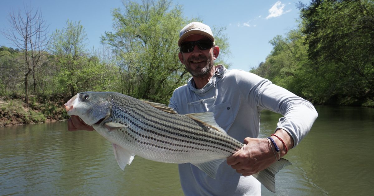 Toccoa River Wade Fishing Access Points: 2026 Guide