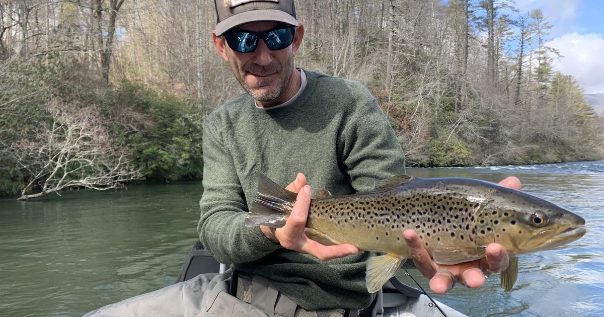 Toccoa River Striper Fly Fishing in 2026: Spring Migration Guide