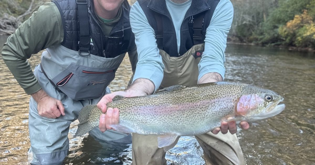 Fly Fishing Guide Cost Comparison: Georgia vs Tennessee vs North Carolina (2026)