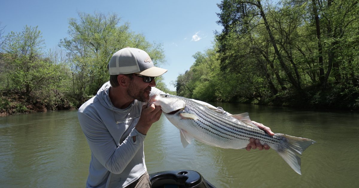 Best Flies for the Toccoa River Tailwater in 2026