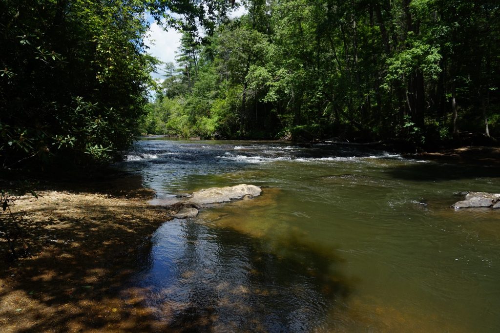 Nymphing the Etowah River: Rigs & Reading the Water