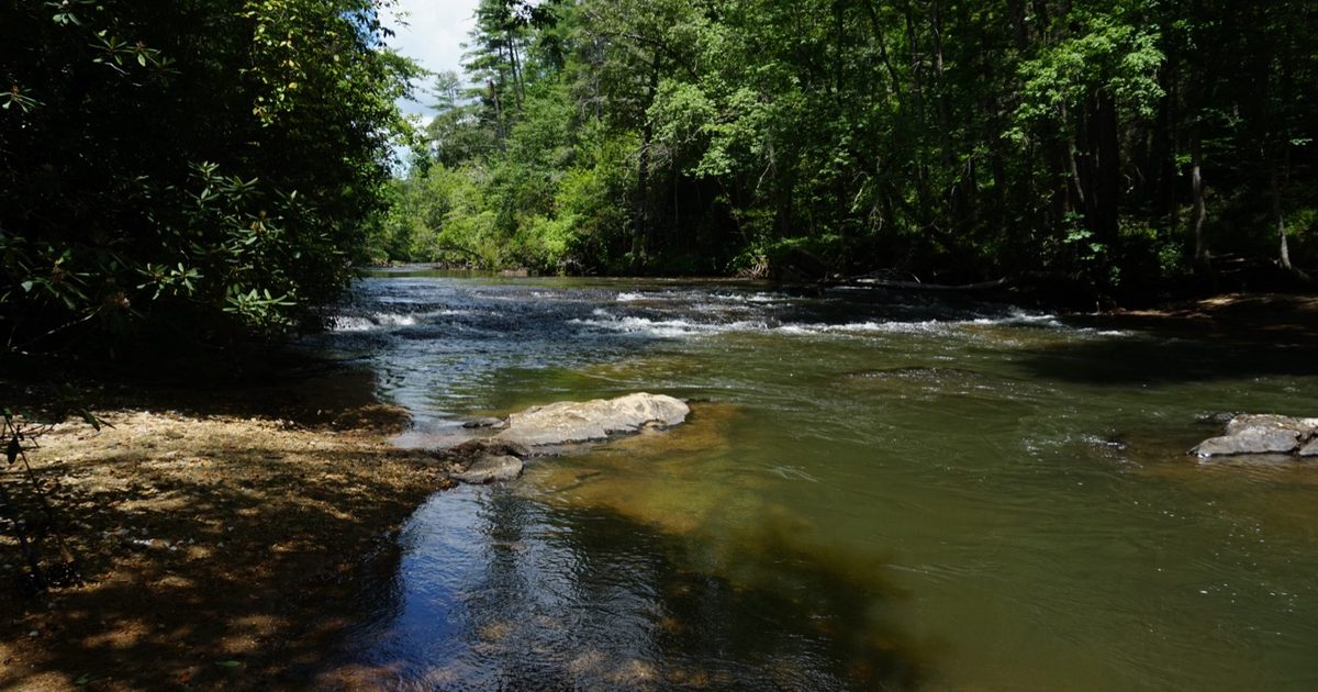 The Complete Guide to Fly Fishing the Etowah River in 2026