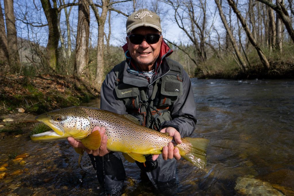 Noontootla Creek Wild Brown Trout: A Field Guide
