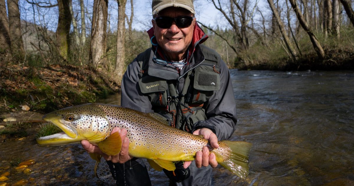 The Complete Guide to Fly Fishing Noontootla Creek in 2026