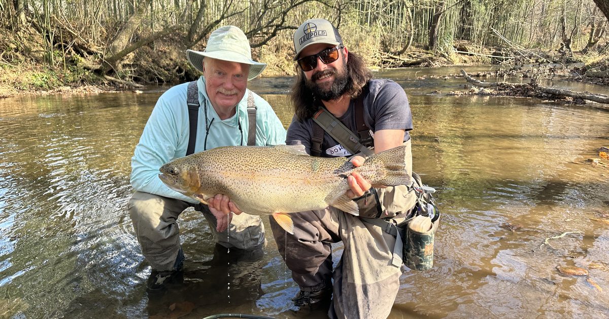 Toccoa River Generation Schedule: How to Plan Your 2026 Trip