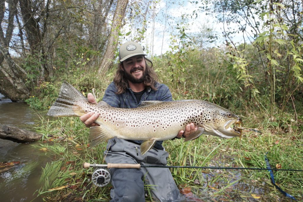 Summer Fly Fishing on the Toccoa River: 2026 Heat Strategy Guide