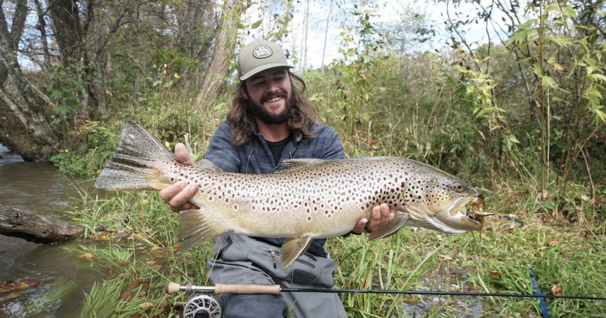 The Complete Guide to Fly Fishing the Tuckasegee River in 2026