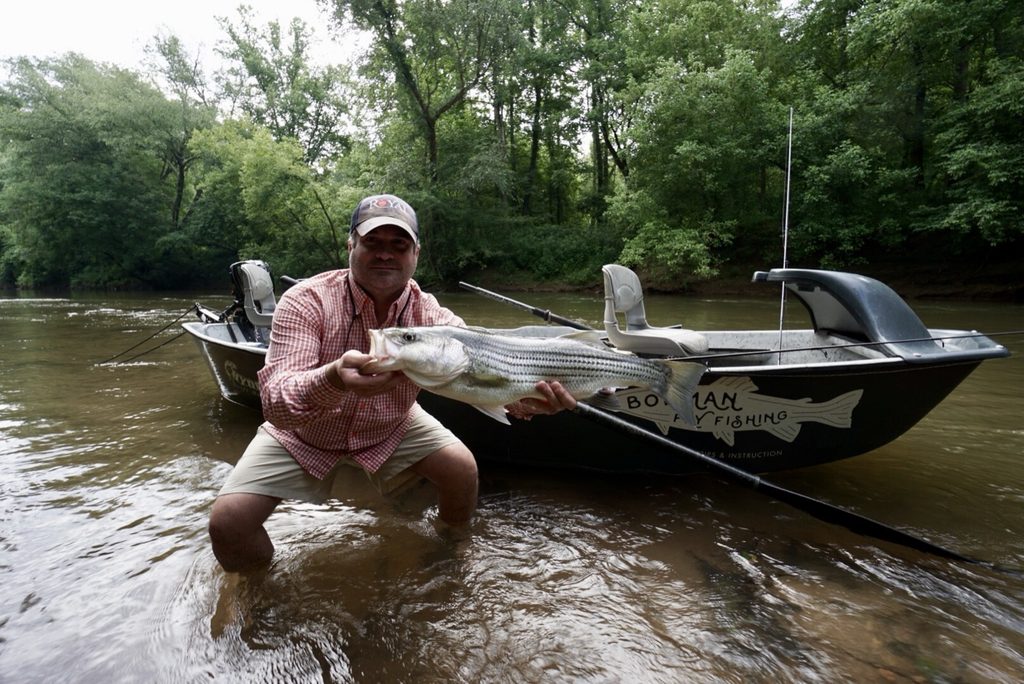 Lake Lanier Striper Fly Fishing: A Complete Guide