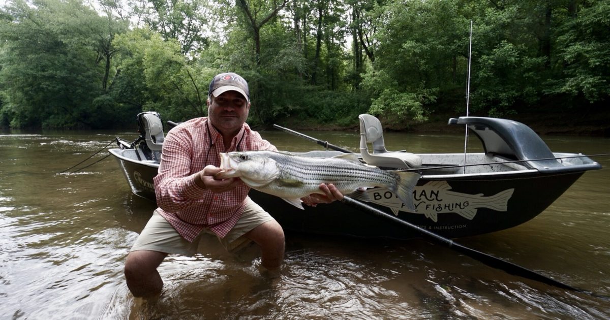 Best Time to Fish the Toccoa River in 2026: Month-by-Month Guide