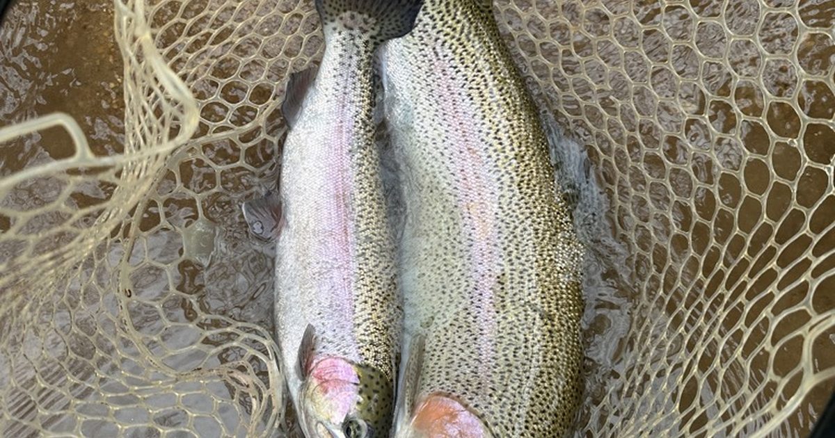 Multi-Generational Fly Fishing Trips: Father, Son, Grandfather in 2026