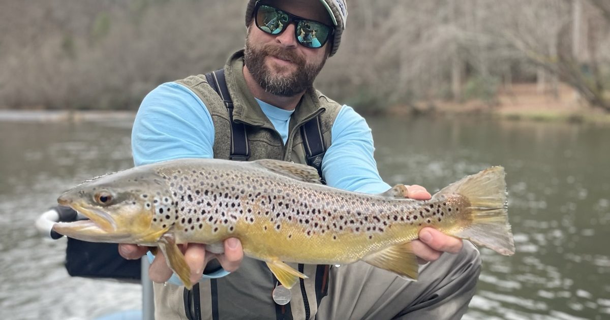 Toccoa vs Soque River: Which Should You Fish in 2026?