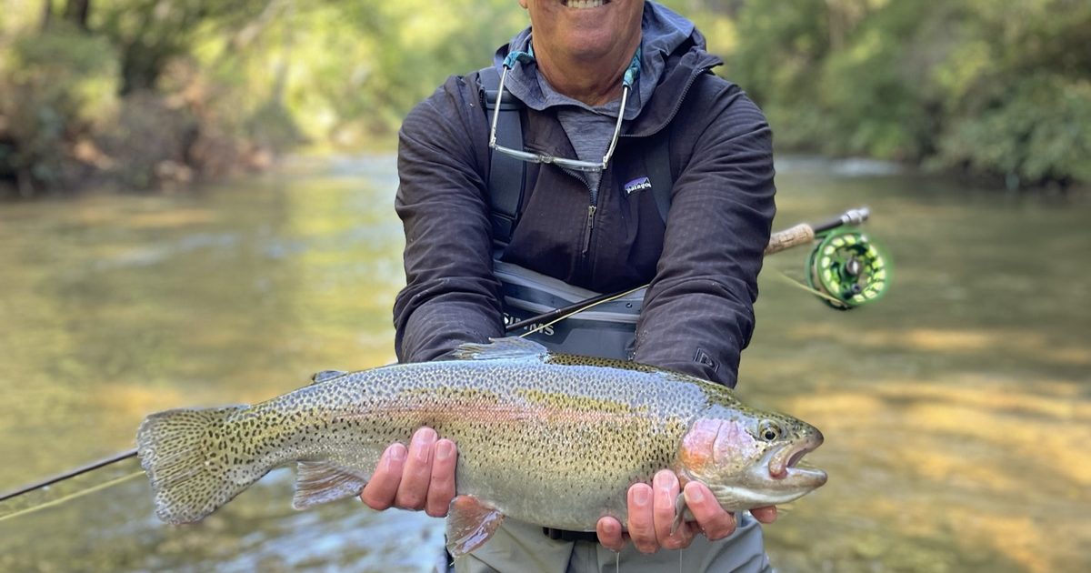The Complete Guide to Fly Fishing the Soque River in 2026