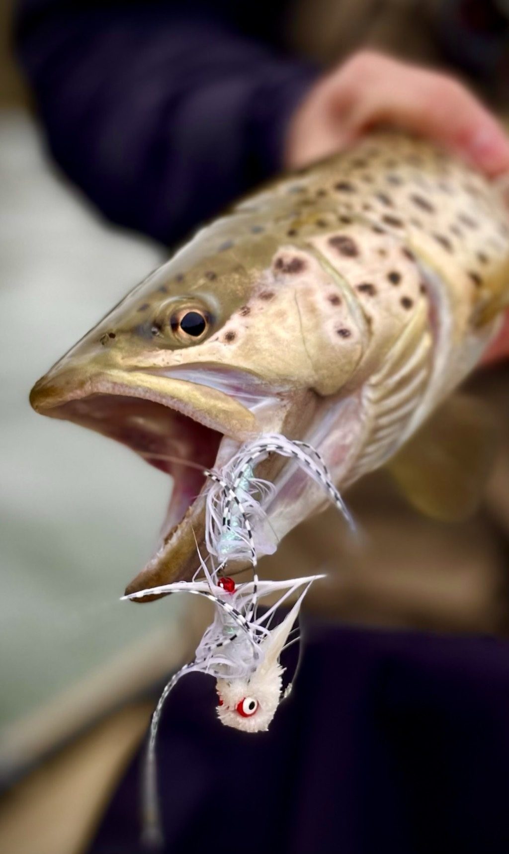 April Hatches in North Georgia: River-by-River Guide