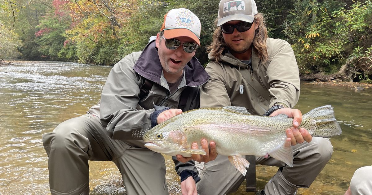 Fly Fishing the Toccoa Tailwater in Winter: 2026 Guide