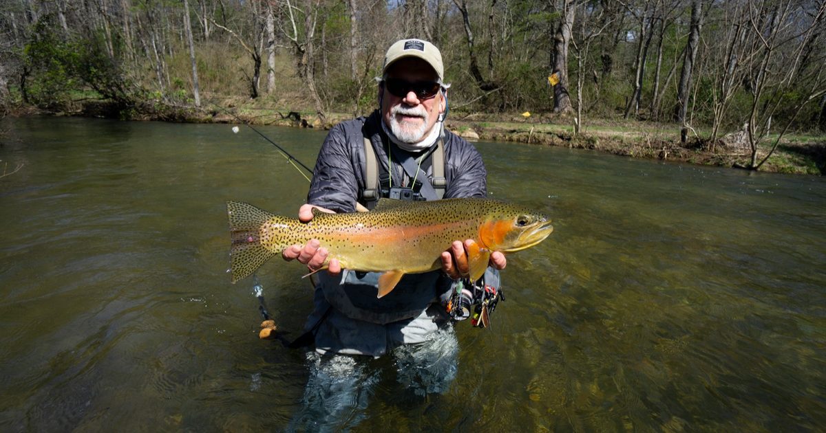 Wade vs Float Fly Fishing: Which Trip Type Should You Book in 2026?