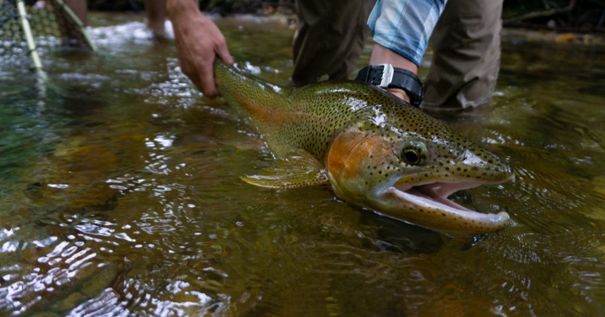 Anniversary Fly Fishing Trip for Two: 2026 Guide for Couples