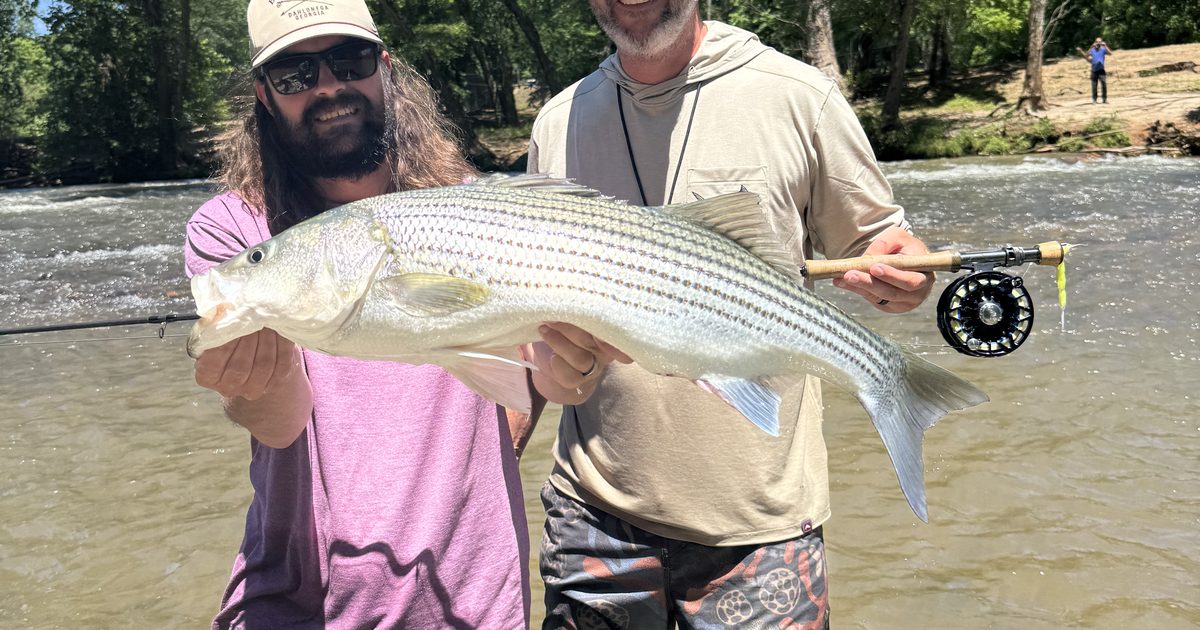 Birthday Fly Fishing Gift Certificates: 2026 Buying Guide